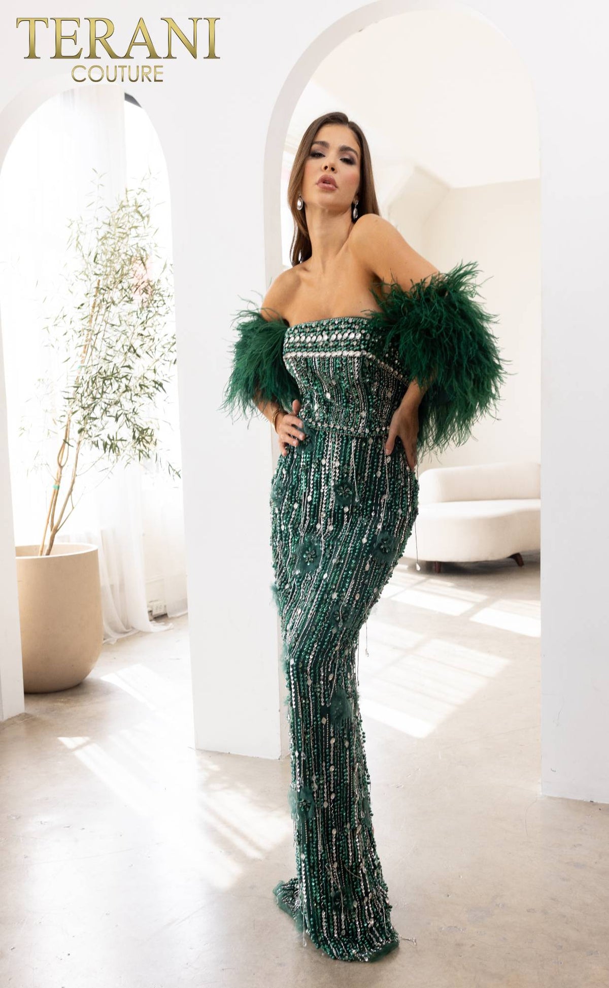 Terani Couture 241GL2603 Beaded Long Formal Evening Dress