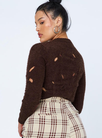 Astrella Sweater/Jumper Brown