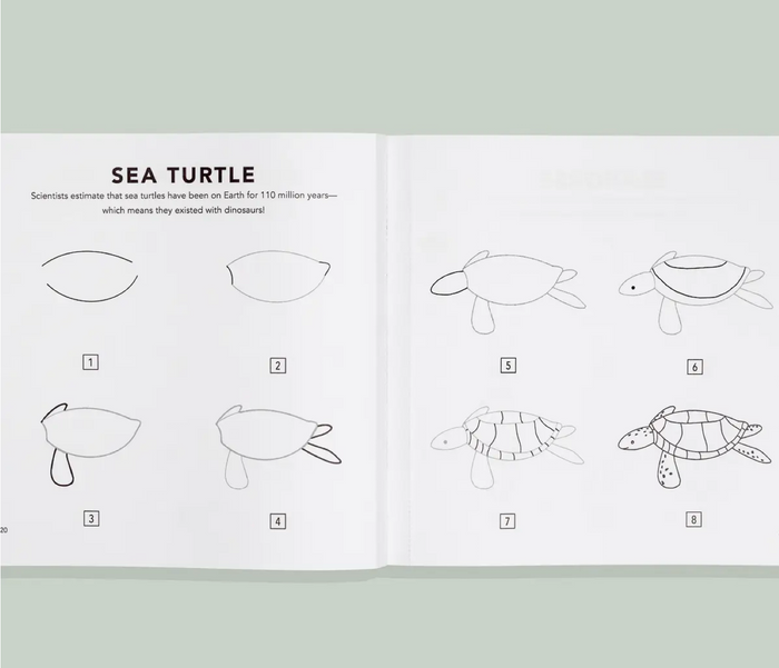 How To Draw Sea Coloring Book