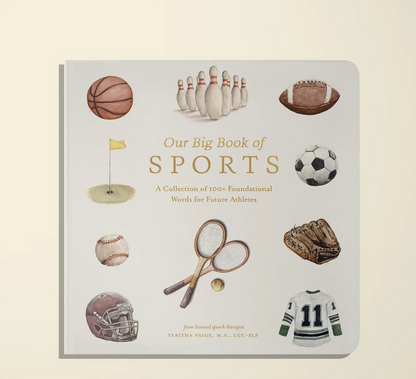 Our Big Sports Book Kid Book